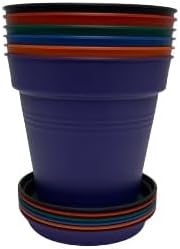 Mintra Home Garden Pots - Flowers, Herbs, Plants, Indoor, Outdoor, Colorful, Wholesale, Bulk (Assorted 6pk, 19cm Diameter (7.5in))