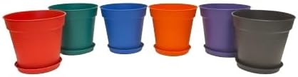 Mintra Home Garden Pots - Flowers, Herbs, Plants, Indoor, Outdoor, Colorful, Wholesale, Bulk (Assorted 6pk, 17cm Diameter (6.6in))