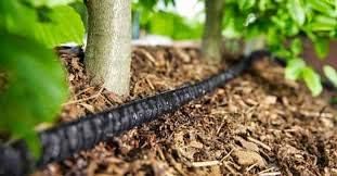 Rocky Mountain Goods 75-Foot Flat Soaker Hose - Heavy Duty Double Layer Design - Saves 70% Water - Consistent Drip Throughout Hose - Garden/Vegetable Safe