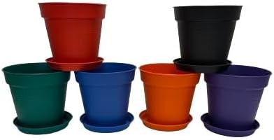 Mintra Home Garden Pots - Flowers, Herbs, Plants, Indoor, Outdoor, Colorful, Wholesale, Bulk (Assorted 6pk, 19cm Diameter (7.5in))