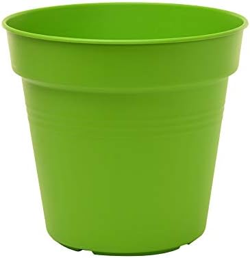 Mintra Home Garden Pots 4pk - Flowers, Herbs, Plants, Indoor, Outdoor, Colorful, Wholesale, Bulk (Light Green, 19cm Diameter (7.5in))