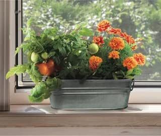 Buzzy Seeds My First Garden Kids Windowsill Grow Kit, Tomato and Marigold Seeds, Indoor Gardening Starter Set for Beginners, Fun DIY Planting Project Gift, New Home Present