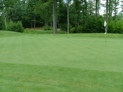 Outsidepride PC2.0 (Penncross) Creeping Bent Grass Seed – 2 lbs. Premium Golf Course Grade, Dense, Wear-Resistant Turf Grass Seeds for Tees, Putting Greens & Fairways, Ideal for High Traffic Areas