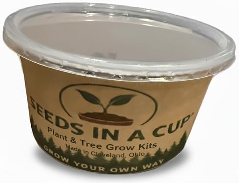 Date Palm | Seeds In A Cup: Date Palm Tree Starter Kit | Easy to use | Educational | Thoughtful Gift | Great Gift Idea | Plant It for The Planet | Grow Your Own Tree |