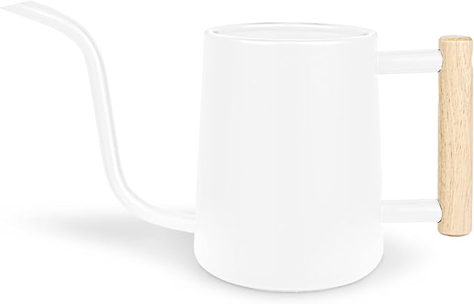 Watering Can Indoor Plants, 35 oz/1000 ml Metal Stainless Steel Watering Can Pot with Long Spout for Indoor House Plants Bonsai Outdoor Garden Flower Decorative (White)