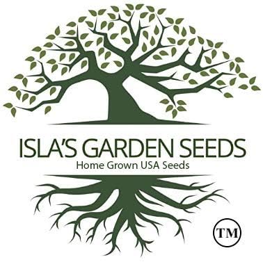 Bull's Blood Beet Seeds for Planting, 100+ Heirloom Seeds Per Packet, (Isla's Garden Seeds), Non GMO Seeds, Botanical Name: Beta vulgaris, Great Home Garden Gift