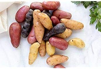 Simply Seed - 10 Piece - Fingerling Potato Seed Mix - Non GMO - American Raised - Ready for Planting