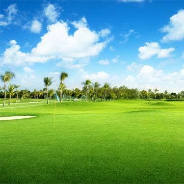 Outsidepride Oasis Bermuda Grass Seed - 10 lbs Warm Season, High Traffic, Heat Resistant, Drought-Tolerant, Low-Maintenance, Fast Growing Turf Grass for Lawn, Ideal for Sunny Areas, Thick Coverage