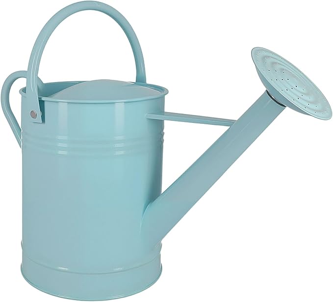 Galvanized Iron Watering Can for Indoor Plants, DIY Watering Cans for House Plant Garden Flower, Long Spout Water Can for Outdoor Watering Plants 7.57L 2 Gallon (Blue)