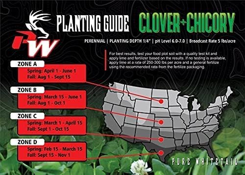 Pure Whitetail Clover/Chicory | Select Seed Blends | All Season Whitetail Deer & Turkey Perennial Food Plot Seed | Drought Resistant | Easiest Turkey & Deer Feeders | Plants 1 Acre | 5 lb Bag