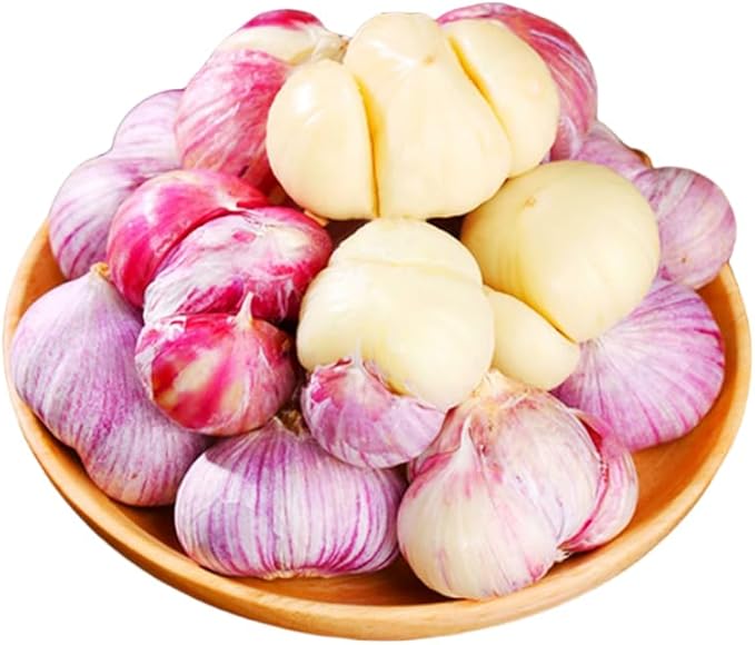 1 Pound Garlic for Planting in Fall Hardneck, 8-10 Chesnok Red Garlic Bulbs for Planting, Fresh and High Yield Bulb Variety Pack, Hardy and Fast Growing