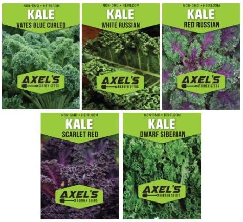 Kale Seeds for Planting - Plant & Grow Heirloom Kale Varieties Home Outdoor Garden – Easy Grow Planting Packet Instructions Included, Great Gardening Gift – 2 Packets of Each Variety