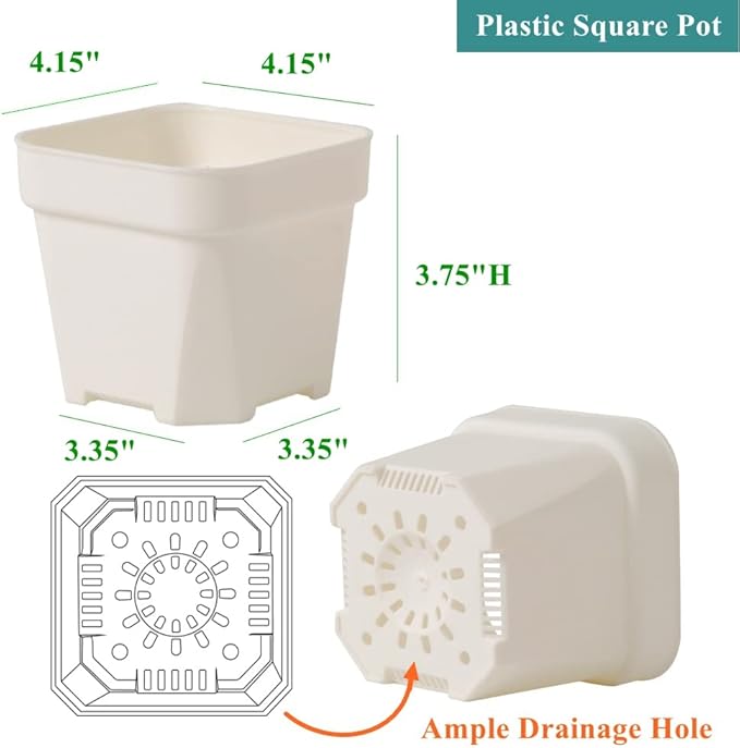 BangQiao 30 Pack 4.15 Inch White Plastic Square Nursery Seedlings Pot for Succulent, Cutting, Transplanting