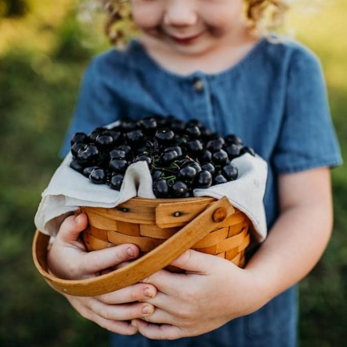 Garden Huckleberry - 50 Seeds - Heirloom Berry Variety, USA-Grown, Non-GMO Heirloom Fruit Seeds for Planting Outdoors in The Home Garden, Thresh Seed Company