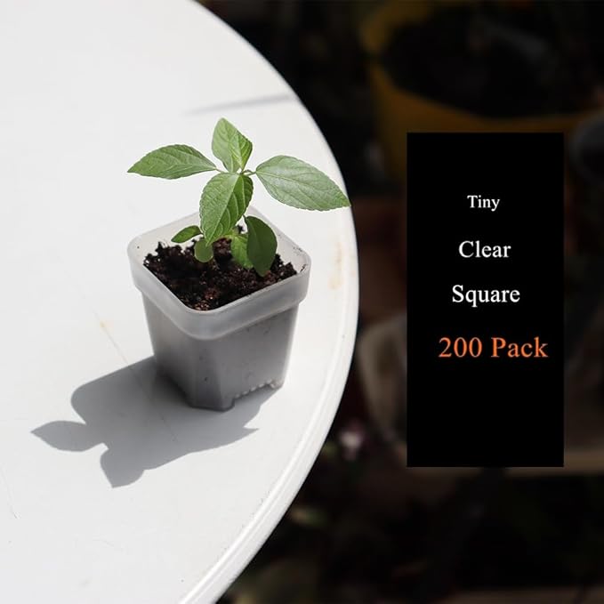 BangQiao 200 Pack 1.95 Inch Tiny Clear Plastic Square Nursery and Seedling Pot, Mini Transplant Seed Starter Planter with Drain Hole for Germination, Herb, Succulent