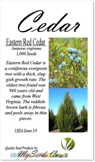 Cedar, Dogwood, Pine, Redwood, Spruce, Tree Seed by MySeeds.Co, You Choose The Color n Quantity (1 Pack, Eastern Red Cedar - Big Pack)