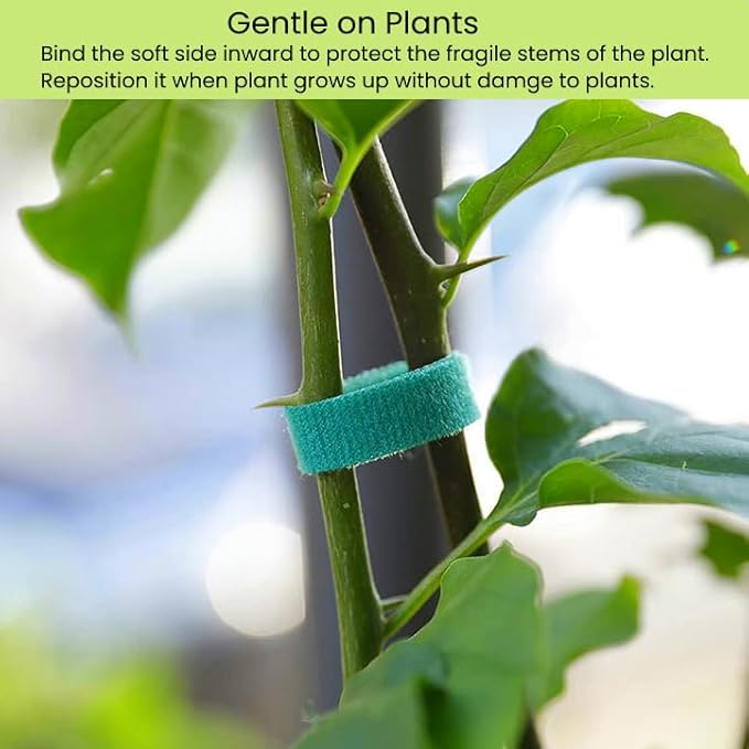 Reusable Plant Ties for Climbing Plants Hook and Loop Green Nylon Plant Straps Tape Double Sided Garden Tie Strap Reusable Adjustable Gentle Support for Vines, Trellis, Tomato (1/2 Inch x 16.4 ft)