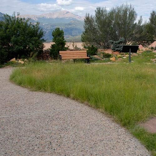 Outsidepride Perennial Short Native Grass Seed Mix - 5 lbs. Premium Mix of Blue Grama, Buffalo, Sideoats Grama, & Sheep’s Fescue Grass Seeds for Low-Maintenance, Heat & Drought-Tolerant Landscaping