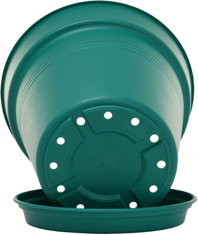 Mintra Home Garden Pots 4pk - Flowers, Herbs, Plants, Indoor, Outdoor, Colorful, Wholesale, Bulk (Forest Green, 15cm Diameter (5.9in))