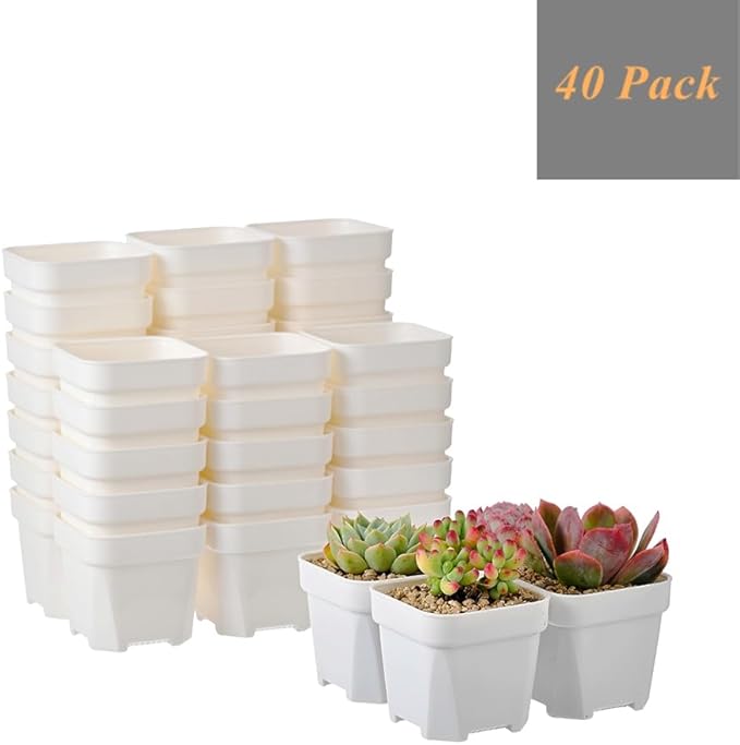BangQiao 40 Pack 3.65 Inch White Plastic Square Nursery Seedlings Pot for Succulent, Cutting, Transplanting
