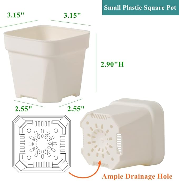 BangQiao 60 Pack 3.15 Inch Small White Plastic Square Nursery and Seedling Pot with Drainage Hole for Germination, Cactus, Herb, Succulent