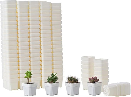 BangQiao 200 Pack 1.95 Inch Tiny White Plastic Square Nursery and Seedling Pot, Mini Transplant Seed Starter Planter with Drain Hole for Germination, Herb, Succulent