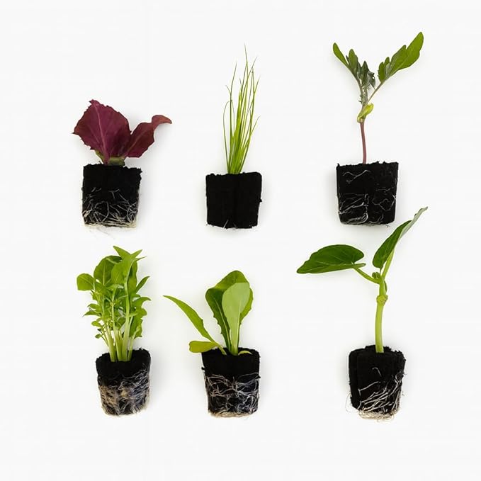 Farmers Bundle: Ready-to-Plant Seedlings, Starts, Plugs, Garden-Ready, Live Plants, Transplants, Pre-sprouted, for Soil & Hydroponic Gardens (XL (120 seedlings))