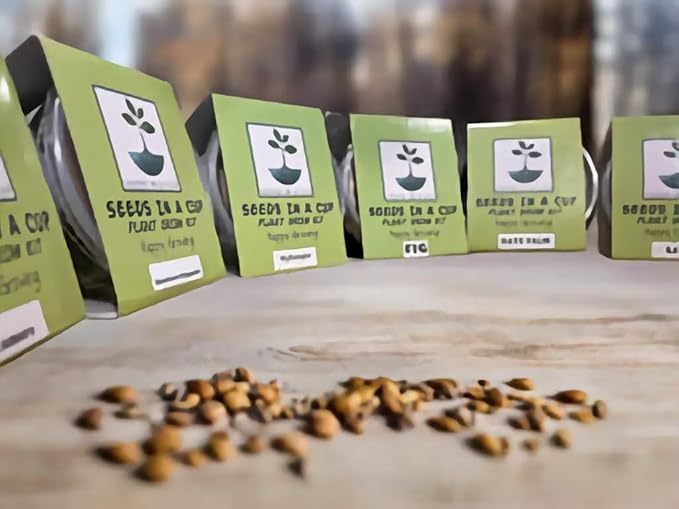 White Birch Tree | Seed Starter Grow Kit | Seeds In A Cup®