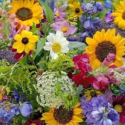 Dirt Goddess Super Seeds ~ Cut Flower Mix Seed (1/2 Lb)