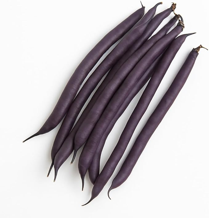 Veggie Seedlings: Ready-to-Plant Seedlings, Starts, Plugs, Garden-Ready, Live Plants, Transplants, Pre-sprouted, for Soil & Hydroponic Gardens (Large (60 seedlings))