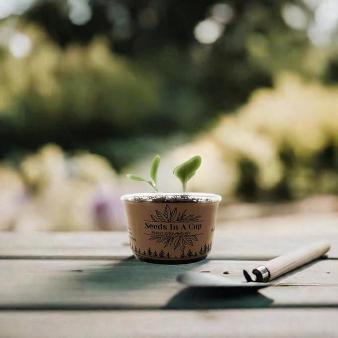 American Ash Tree | Seed Starter Grow Kit | Seeds In A Cup®