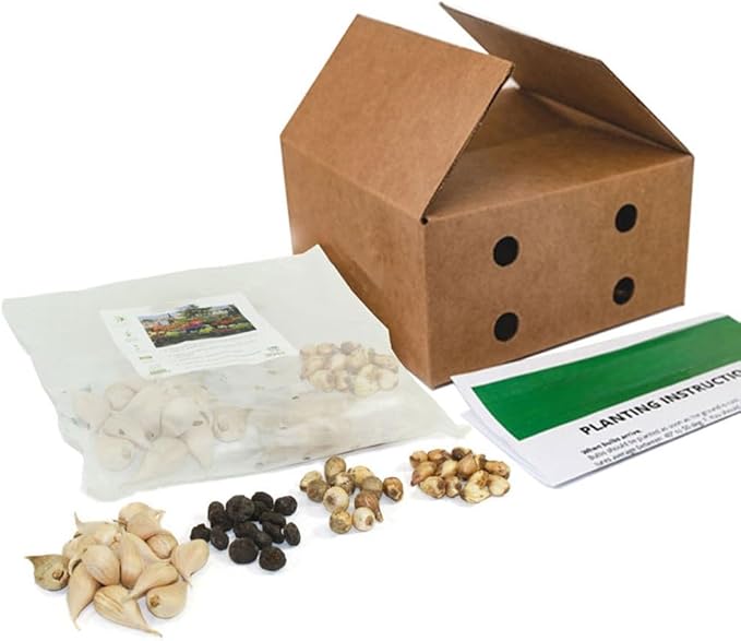 Amazing Rock Garden Flower Collection- 55 Bulbs - Featuring 4 Varieties of Flowers - Beautiful Mix of Pinks, Purples, Whites and Blues - Attracts Butterflies, Bees & Hummingbirds