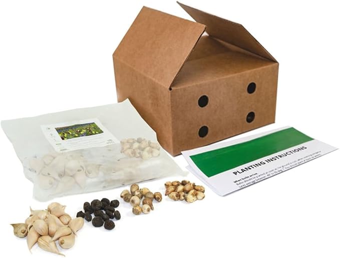 Garden Gem Flowers Collection-100 Bulbs-Featuring 4 Varieties of Flowers-Alliums, Hyacinths, Lily,Squill-Add a Beautiful Pop of Pink, Blue, White, Yellow to Any Landscape-Attracts Butterflies & Bees