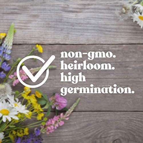 Wildflower Seed Bulk, 3 Oz. (80,000+ Seeds) โ 19 Non-GMO Flower Seeds for Shade, Annual & Perennial Wild Flowers Mix for Partial Shade โ Shade Tolerant by Mountain Valley Seed