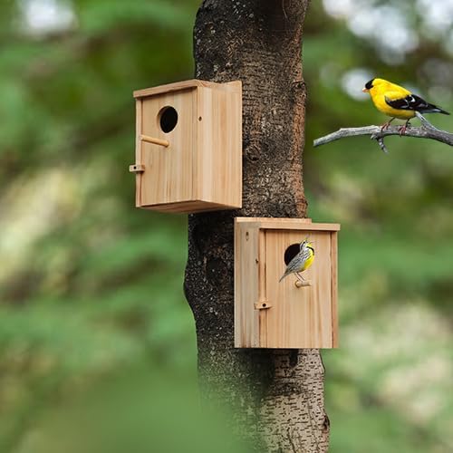 2 Pack Bird Houses for Outside, Hummingbird House Outdoor, Birdhouse kit,Bluebird Finch Swallow Wren Chickadee