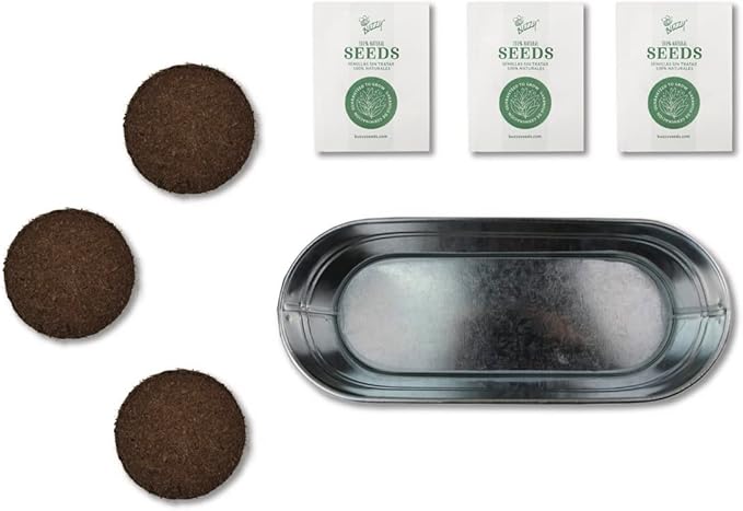 BUZZY Seeds Organic Windowsill Grow Kit, Copper Culinary Herb Garden with Basil, Cilantro and Chives, Indoor Starter Set with Seed Packets and Growing Medium, Holiday Present, Gardening Gift