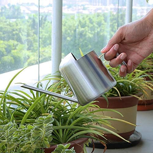 Mini Watering Can, 10oz/300ml Stainless Steel Long Spout Small Watering Can for Indoor Plants Succulents, Herbs (Silver)