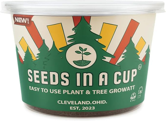 Sycamore Tree Seed Growing Kit | Complete DIY Planter | Unique Mottled Bark Shade Tree | Indoor/Outdoor Plant Starter | Gift Idea