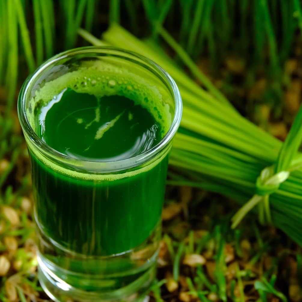 Organic Wheatgrass Self Watering Kit Refill Mats & Seeds for 5 Crops. (Refill Kits)