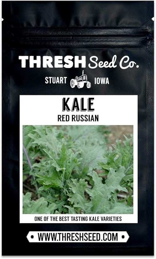 Red Russian Kale - 100 Seeds - Heirloom & Open-Pollinated Variety, Non-GMO Vegetable & Leafy Greens Seeds for Planting Indoors/Outdoors in Containers/Aerogarden/Home Garden, Thresh Seed Company