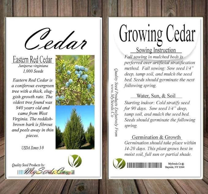 Cedar, Dogwood, Pine, Redwood, Spruce, Tree Seed by MySeeds.Co, You Choose The Color n Quantity (1 Pack, Eastern Red Cedar - Big Pack)
