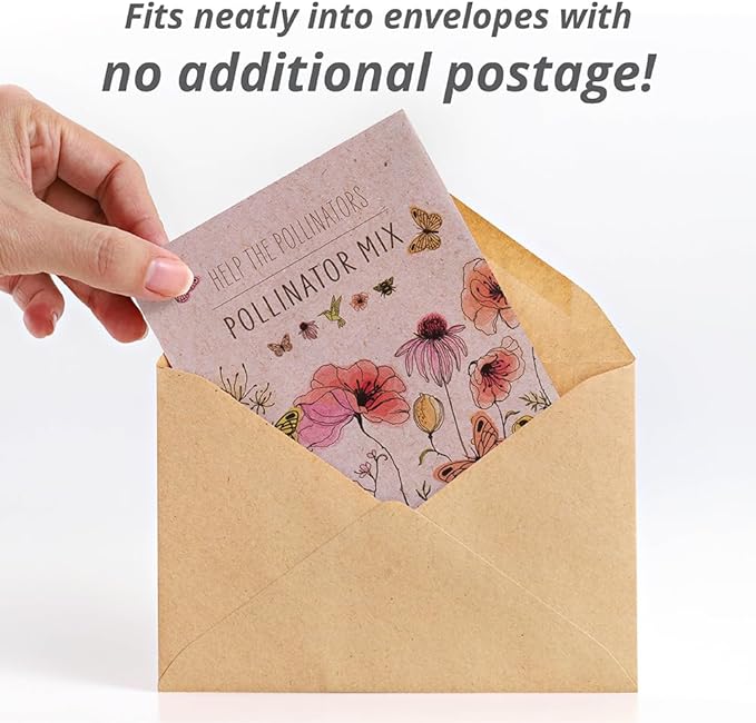 Bentley Pollinator Mix - Pre-Filled, Non-GMO, Non-Coated Butterfly Packets - 25 Annual Wildflower Seeds - Perfect Eco-Friendly Gift