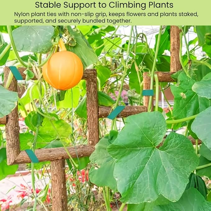 Reusable Plant Ties for Climbing Plants Hook and Loop Green Nylon Plant Straps Tape Double Sided Garden Tie Strap Reusable Adjustable Gentle Support for Vines, Trellis, Tomato (1/2 Inch x 16.4 ft)
