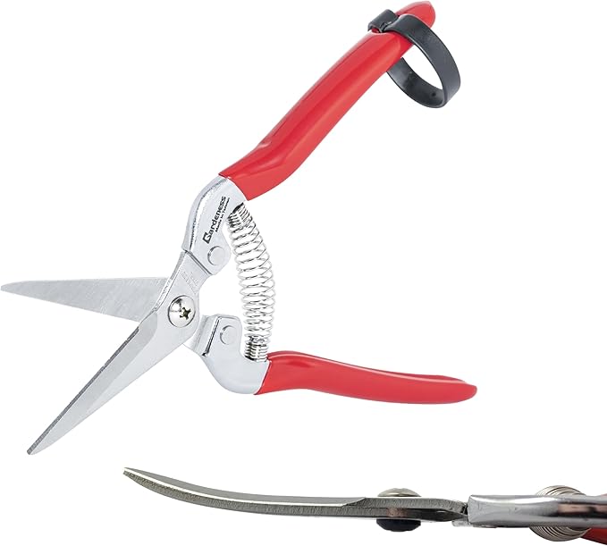 Gardeness 2PCS Pruning Shear Curved Pruning Snip with Stainless Steel Serrated Blade, Screw Micro Tip Gardening Scissor for, Harvesting Fruit Picking, Orange, citrus and Grape