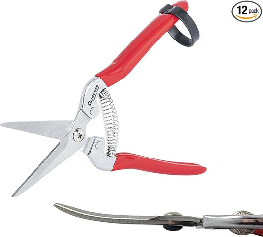Gardeness 12PCS Pruning Shear Curved Pruning Snip with Stainless Steel Serrated Blade, Screw Micro Tip Gardening Scissor for, Harvesting Fruit Picking, Orange, citrus and Grape