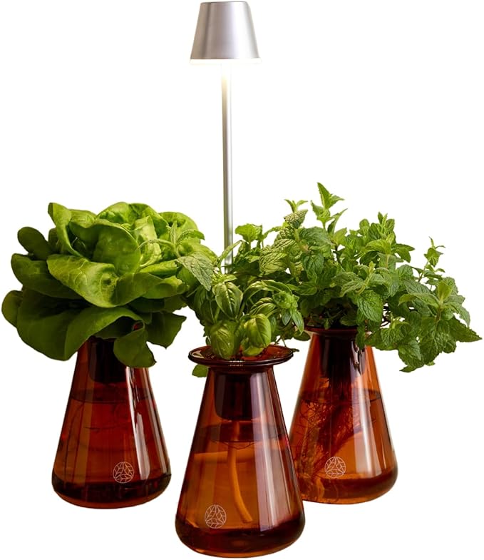 Counterstand Set – Vase Plant for Indoor Edible Garden Kit for Herbs & Lettuce – Small-Space Hydroponic System – Home Decor & Gifting – with Glow Lamp