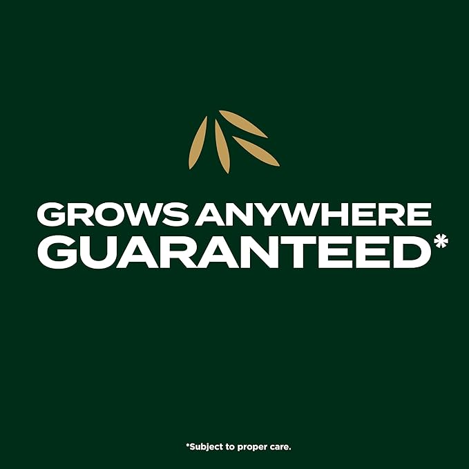 Scotts EZ Seed Patch & Repair Southern Gold Blend for Tall Fescue Lawns, Mulch, Grass Seed and Fertilizer for Bare Spots and Repair, Bred for The South, 3.75 lbs.