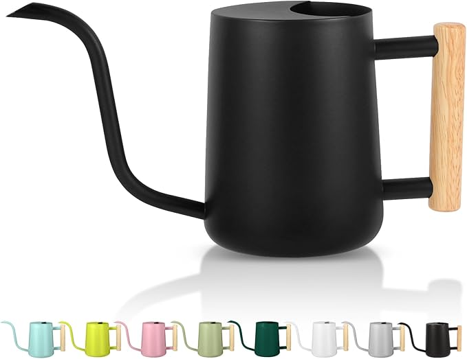 Plant Watering Can,35oz Metal Watering Can,Stainless Steel Indoor Plants with Long Curved Spout,Small Bonsai Outdoor Garden Modern Decorative(Black)