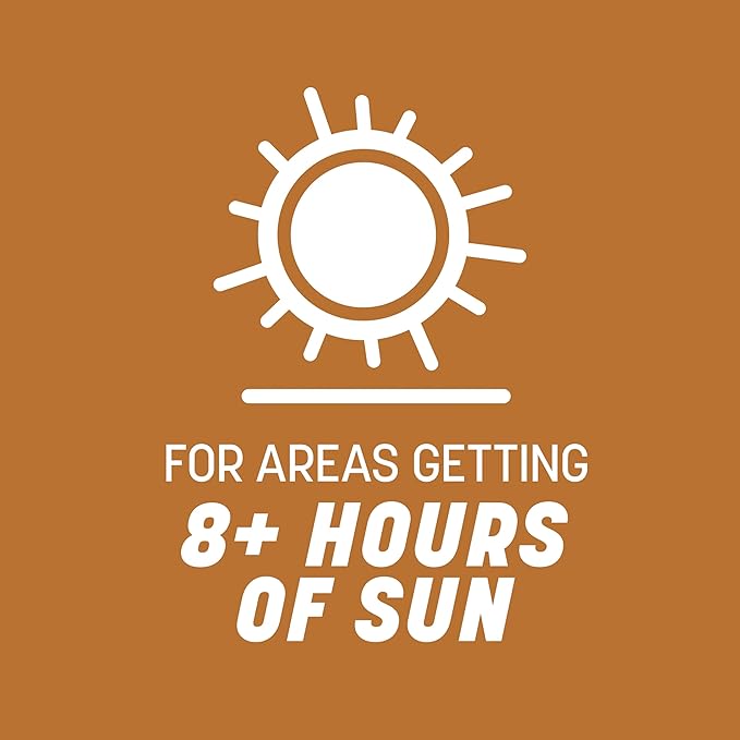 Pennington 100532365 Centipede Grass Seed & Mulch 5 LB, Black Label