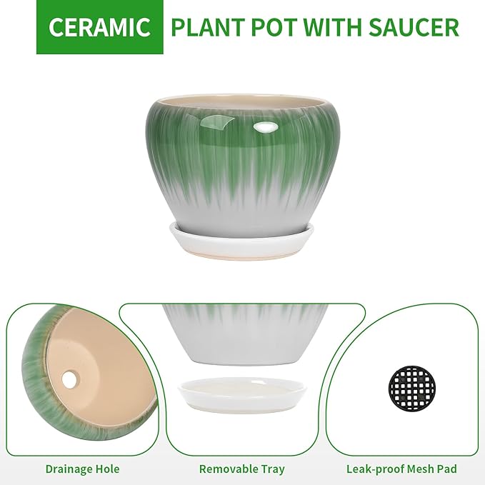 Deep Dream 8 Inch Plant Pots- Ceramic Pots for Plants with Drainage Hole and Saucer, Large Planter Pot for Indoor Plants Outdoor Decor, White&Green